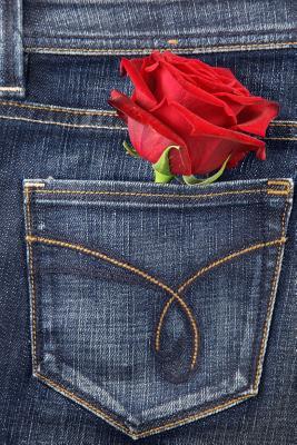 Download A Red Rose for My True Love Journal: 150 Page Lined Notebook/Diary - NOT A BOOK | ePub