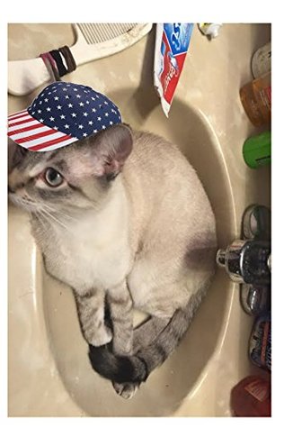 Read The Randall McPherson Guide to Winning the Presidency Without Spending a Dime - Randall McPherson file in ePub