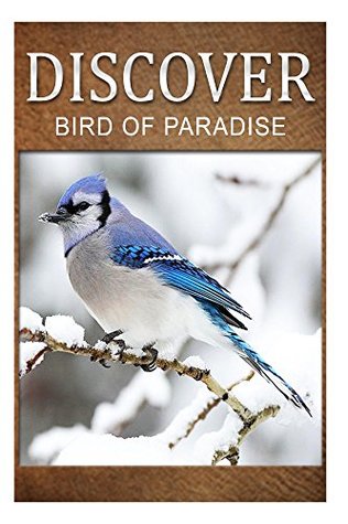 Read online Birds Of Paradise - Discover: Early reader's wildlife photography book - Discover Press | ePub