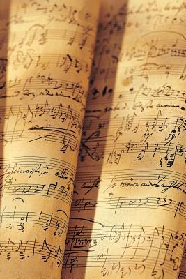 Read Music 40: Ndas 365 Blank Journal, Trade Paperback 6 X 9 - NOT A BOOK file in PDF