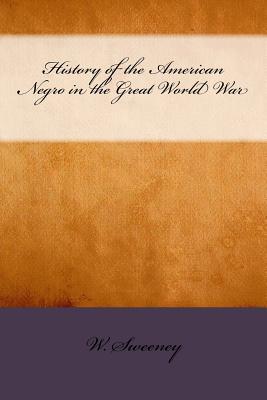Download History of the American Negro in the Great World War - W Allison Sweeney file in ePub