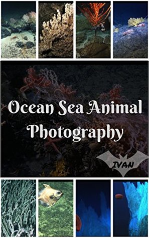 Read online Ocean Sea Animal Photography Photo Book Amazing Atlantic: (Nature Photo, Coral Reef Photo, Ocean Photo, Deep Sea Photo, Fish Photo,Oceanography Photo,Marine Biology ) - Ivan Labelle file in ePub