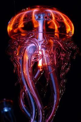 Read Luminous Jellyfish Journal: 150 Page Lined Notebook/Diary - NOT A BOOK | ePub