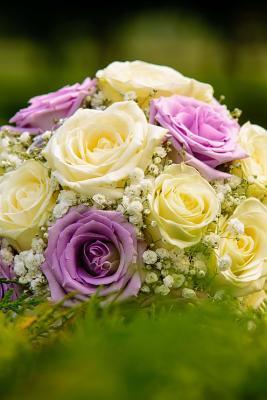 Read online Beautiful Cream and Purple Bouquet in the Grass Journal: Take Notes, Write Down Memories in This 150 Page Lined Journal - NOT A BOOK | ePub