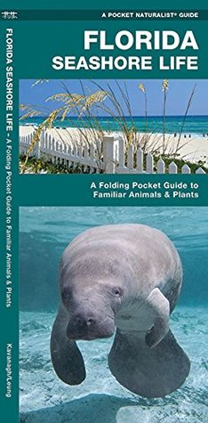 Download Florida Seashore Life: A Folding Pocket Guide to Familiar Plants and Animals - James Kavanagh | ePub