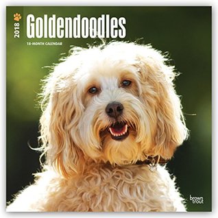 Read Goldendoodles 2018 12 x 12 Inch Monthly Square Wall Calendar, Animals Mixed Dog Breeds - NOT A BOOK file in ePub