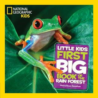 Read Little Kids First Big Book of the Rain Forest - Moira Rose Donohue file in PDF