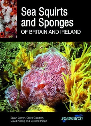 Read online Sea Squirts and Sea Sponges of Britain and Ireland - Sarah Bowen;Claire Goodwin;David Kipling;Bernard Picton | ePub