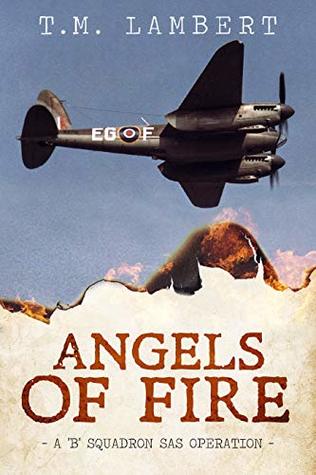 Read online Angels of Fire: 'B' Squadron SAS Operation #3 - T.M. Lambert | ePub