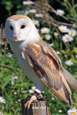 Read Barn Owl: Pocket Notebook for Pets, Critters and All Kinds of Animal Lovers - Canines Online Publishing file in PDF