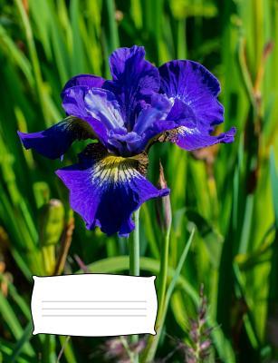 Read Composition Notebook: College Ruled 200 Pages, 7 1/2 X 9 3/4 - Robin Blandford | PDF