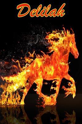 Read Horse Passion: Delilah: College Ruled Composition Book Diary Lined Journal - Meadow Runs file in PDF