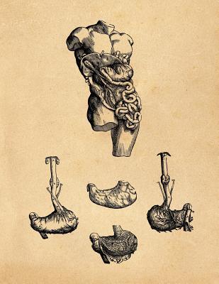 Read Anatomy Notebook: Andreas Vesalius - Stomach and Esophagus - Premium College Ruled Notebook 110 Pages -  | PDF