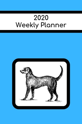 Full Download 2020 Weekly Planner: Irish Wolfhound; January 1, 2020 - December 31, 2020; 6 x 9 -  | ePub